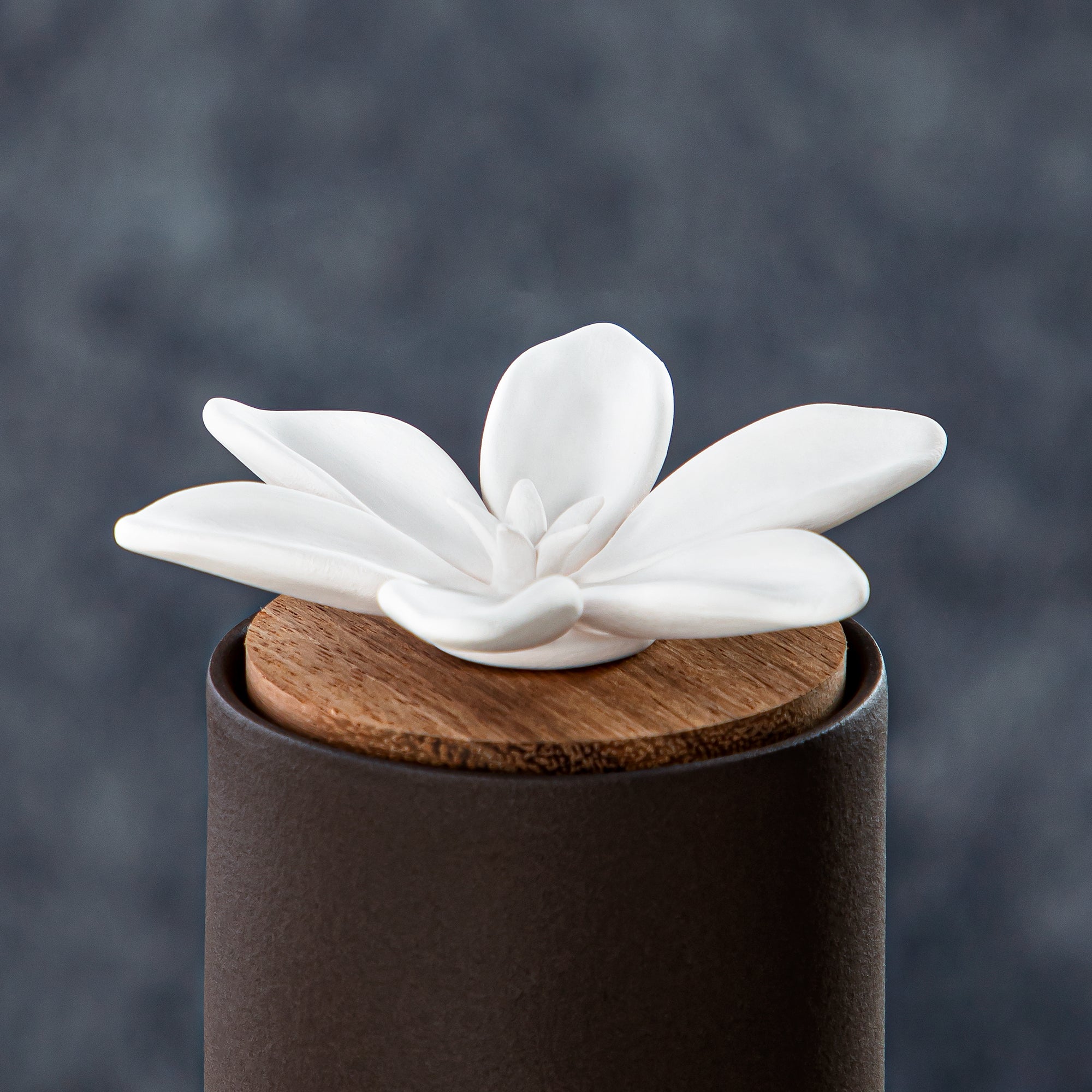 فواحة المرجان 50 مل بعطر البلومستر نايل فوريست - KDTD546BK